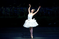 Swan Lake 2 Cast  for Amber double cheque it Tricia 0004