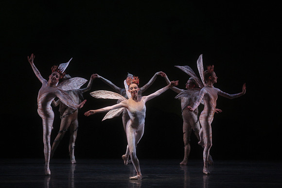 20160317_Midsummer_Night's_Dream_DR_Closeup_IMG_5489