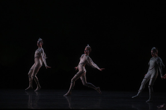 20160317_Midsummer_Night's_Dream_DR_Closeup_IMG_5429