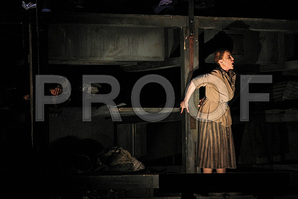 The Passenger Florida Grand Opera by Alexander Medvedev