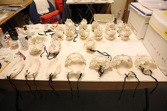 20150901_Fitting_Swan_Lake_Wardrobe_IMG_6220