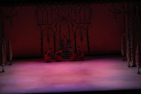20141229_Nutcracker_WPB_Flowers__CG3P2022