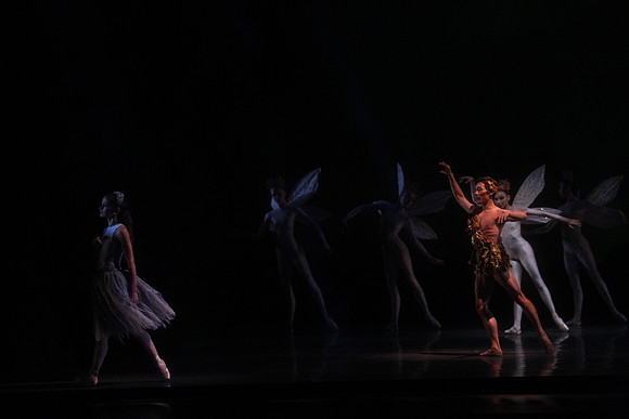 20160317_Midsummer_Night's_Dream_DR_Closeup_IMG_5580