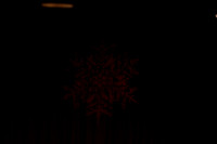 20141229_Nutcracker_WPB_Angels_CG3P0004