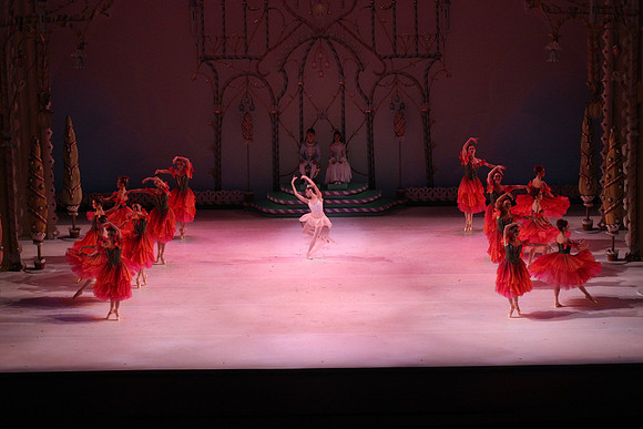 20141229_Nutcracker_WPB_Flowers__CG3P2102