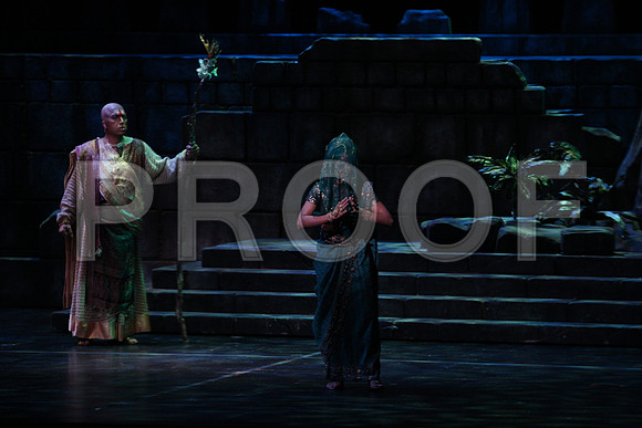 20150303_Pearl_Fisher_Act2_CG3P5956
