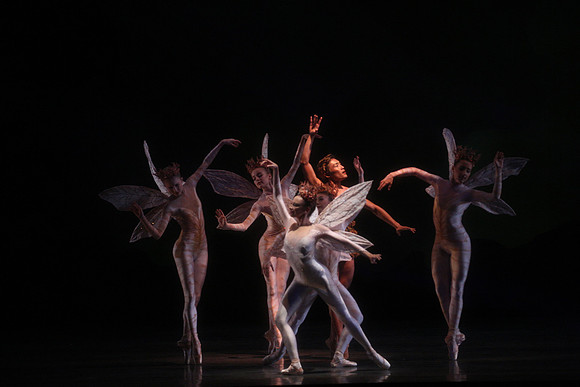20160317_Midsummer_Night's_Dream_DR_Closeup_IMG_5624
