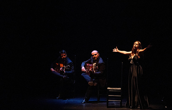 20220421_Stars_of_Flamenco_DSC0286