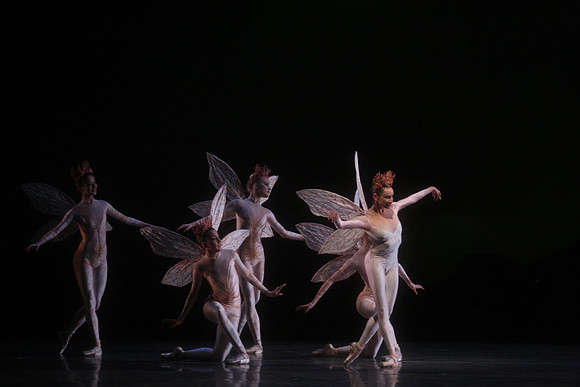20160317_Midsummer_Night's_Dream_DR_Closeup_IMG_5502