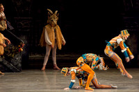 5029_DG_Miami_City_Ballet_Romeo_and_Juliet_Broward_center_2011_MG_6071