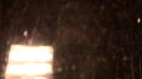 QT00004