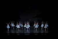 20151022_MCB_Swan_Lake_DR_WD_Arsht__75A6655