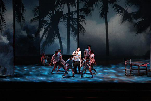 Before Night Falls Florida Grand Opera by Jorge Martin with Dolores M. Koch