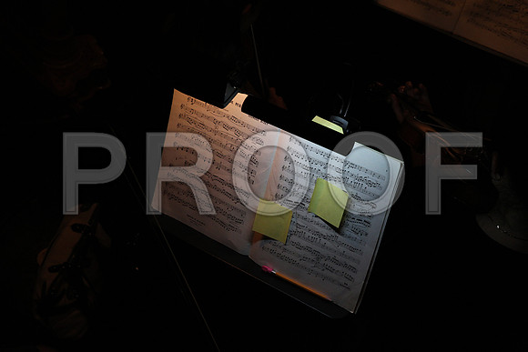 20150226_The_Pearl_Fisher_Backstage_Orchestra_9C7C0524