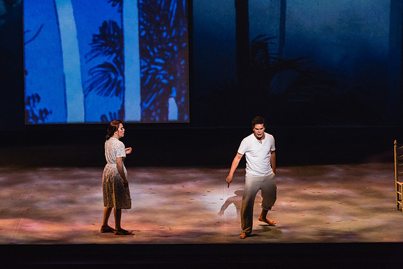 Before Night Falls Florida Grand Opera by Jorge Martin with Dolores M. Koch