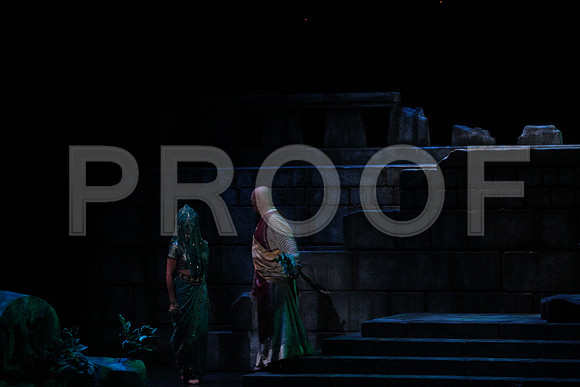 20150303_Pearl_Fisher_Act2_CG3P5930