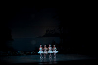20151025_MCB_Swan_Lake_2Cast_Arsht_IMG_0007