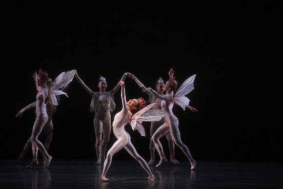 20160317_Midsummer_Night's_Dream_DR_Closeup_IMG_5496