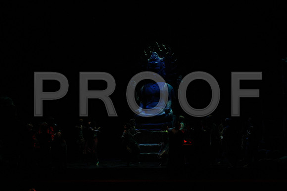 20150303_Pearl_Fisher_Act3_CG3P8814