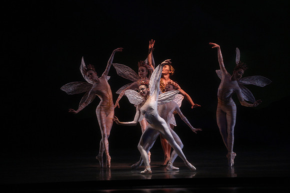 20160317_Midsummer_Night's_Dream_DR_Closeup_IMG_5618