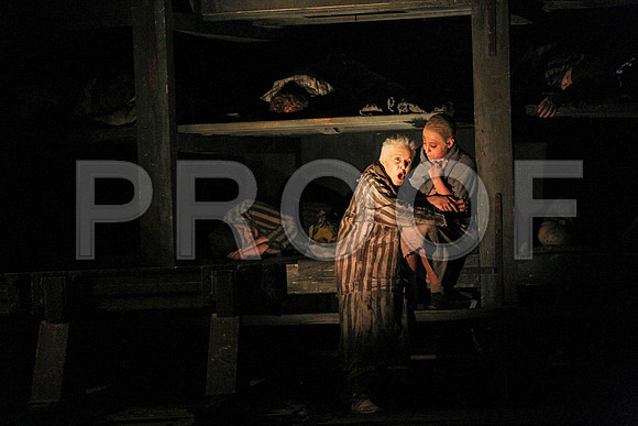 The Passenger Florida Grand Opera by Alexander Medvedev