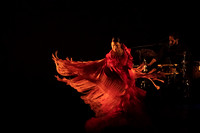 20220421_Stars_of_Flamenco_DSC0335