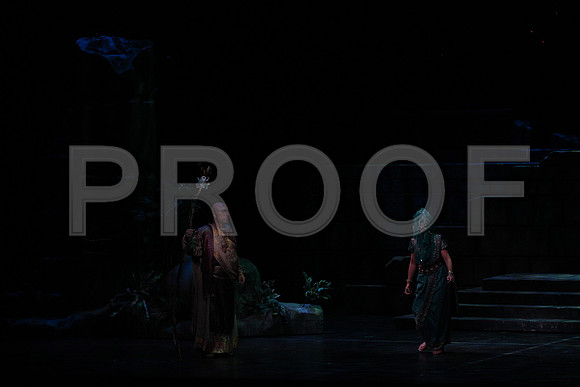 20150303_Pearl_Fisher_Act2_CG3P6005