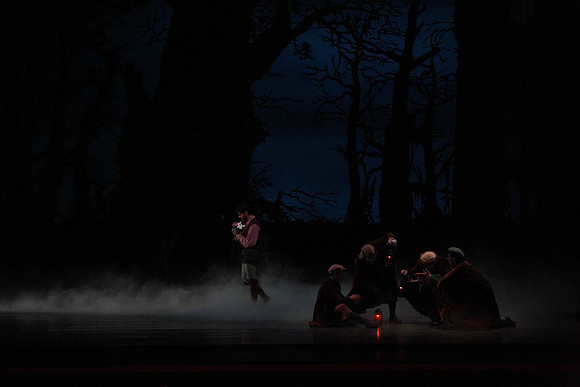 20161020_MCB_Giselle_Act2_DRNN_Arsht_9C7C0025