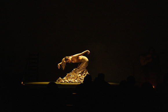 20210417_Siudy_ flamenco_archt_DSC5657
