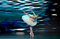 20241026_untitled20241026_Dying Swan__DSC5588
