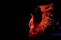 20220421_Stars_of_Flamenco_DSC0404