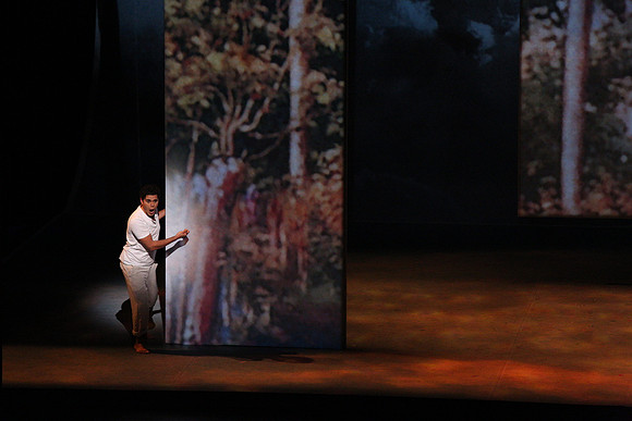 Before Night Falls Florida Grand Opera by Jorge Martin with Dolores M. Koch