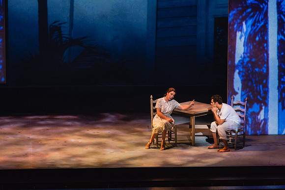 Before the Night Falls Florida Grand Opera by Jorge Martin with Dolores M. Koch
