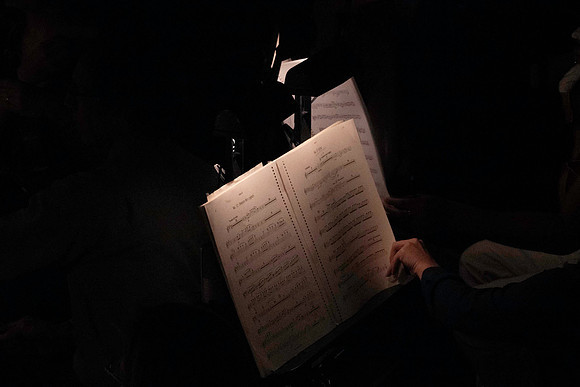 20240417_Swan_Lake_Orchestra_DSC5068.ARW