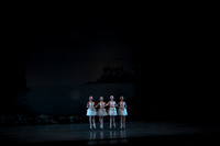 20151025_MCB_Swan_Lake_2Cast_Arsht_IMG_0008