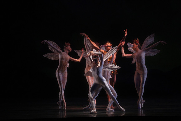 20160317_Midsummer_Night's_Dream_DR_Closeup_IMG_5611