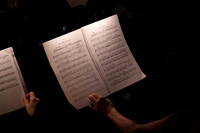 20240417_Swan_Lake_Orchestra_DSC5062.ARW