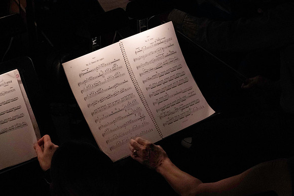20240417_Swan_Lake_Orchestra_DSC5062.ARW