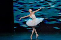 20241026_untitled20241026_Dying Swan__DSC5629