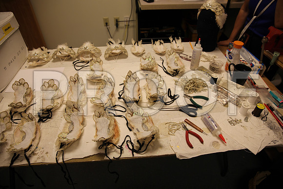 20150901_Fitting_Swan_Lake_Wardrobe_IMG_6238