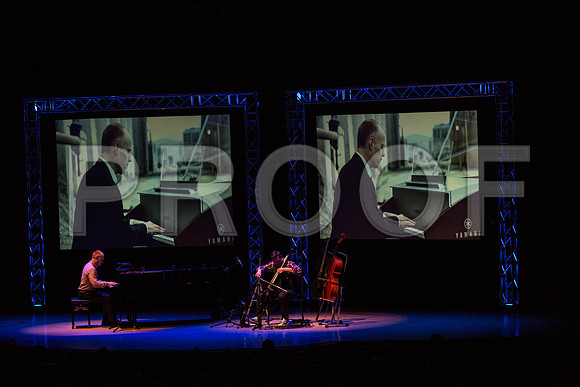 20150203_The_Piano_Guys_Arsht_9C7C1661