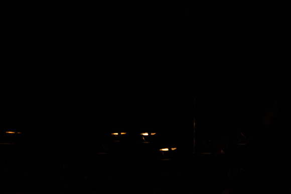 20210321_Trouble_in_Tahiti_DSC09254