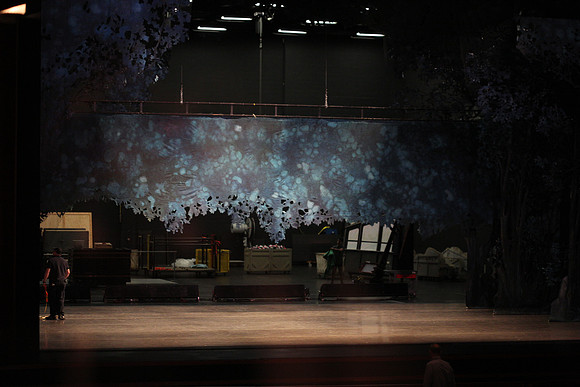 20151025_MCB_Back_Stage_2Cast_Arsht_IMG_7555