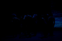 20231029_Sea_Changes_2_Cast_DSC3671