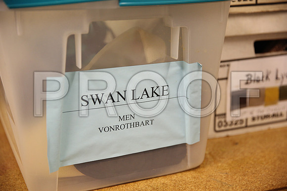 20150901_Fitting_Swan_Lake_Wardrobe_IMG_6241