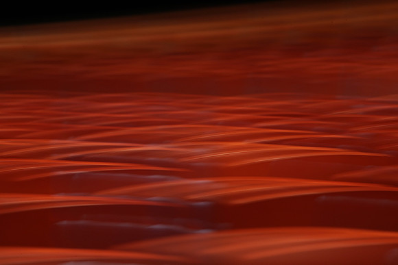 20121312_CG3P0290