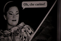 Don Pasquale Florida Grand Opera by Giovanni Ruffini and Gaetano Donizetti