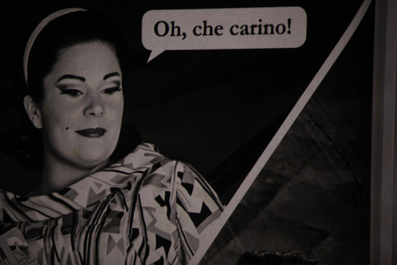 Don Pasquale Florida Grand Opera by Giovanni Ruffini and Gaetano Donizetti