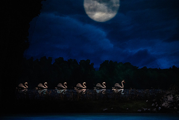 20240418_Swan_Lake_ACT_2_2_Cast_DSC5547.ARW