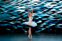 20241026_untitled20241026_Dying Swan__DSC5764